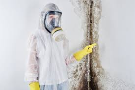 Best Attic Mold Removal  in Meridian Village, CO